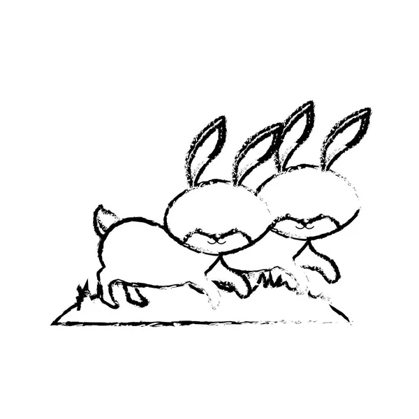 図かわいいウサギ動物カップル一緒にベクトル図 — ストックベクタ