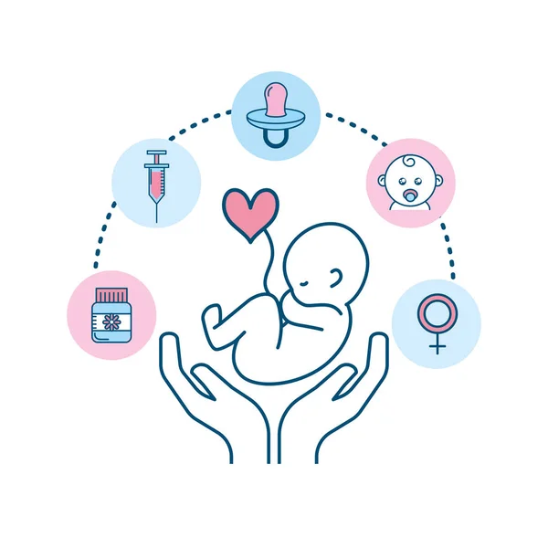 Establecer Proceso Fertilización Del Embarazo Biología Reproducción Vector Ilustración — Vector de stock