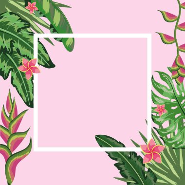 doğal çiçekler ve bitkiler vektör çizim ile kare çerçeve