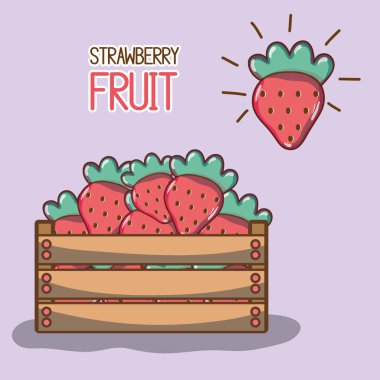 delicios ve taze çilek meyve sepeti vektör çizim içinde