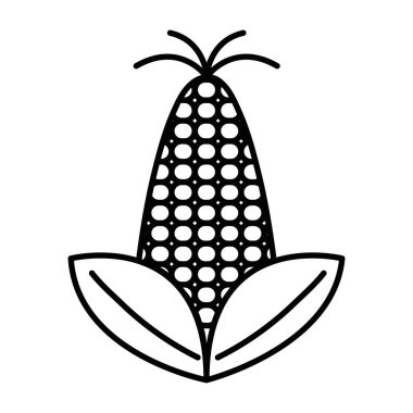 satır lezzetli ve sağlıklı Mısır vegan gıda vektör çizim