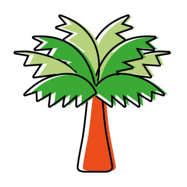 palmiye ağacı yaprak ve bitki örtüsü vektör çizim ile