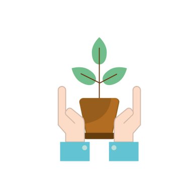 ekoloji bitki saksı ve eller vektör çizim ile yaprakları ile