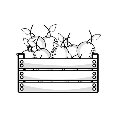 satır lezzetli portakal meyve sepeti vektör çizim içinde