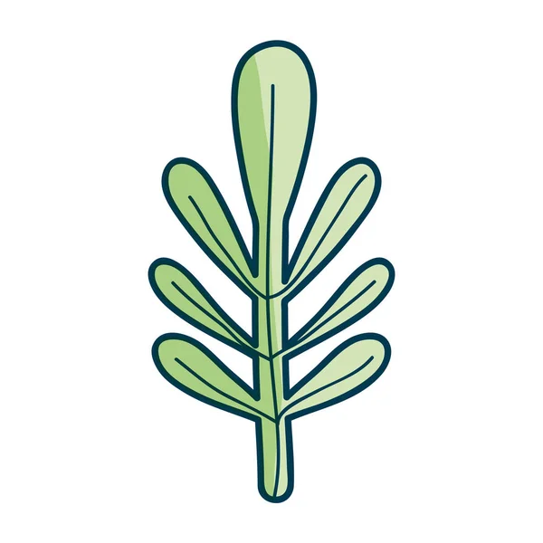 Planta Hoja Orgánica Agradable Diseño Ilustración Vectores — Vector de stock