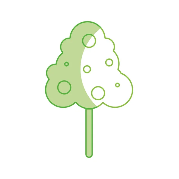 Silhouette Naturliga Träd Med Frukter Botanik Ikoner Vektorillustration — Stock vektor