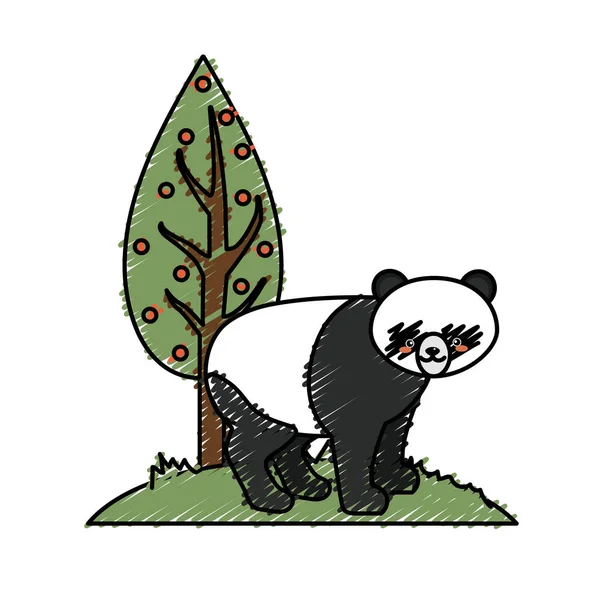 Aranyos Panda Vadon Élő Állat Mellett Vektoros Illusztráció — Stock Vector