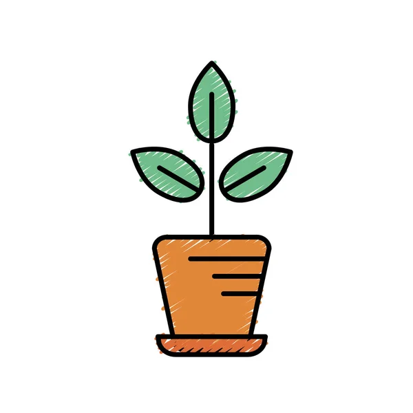 Натуральное Растение Листьями Внутри Векторной Иллюстрации — стоковый вектор