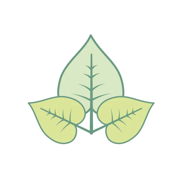 自然と熱帯の葉ベクター イラスト デザイン — ストックベクタ