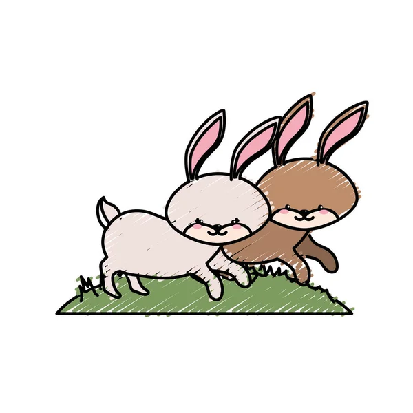 Cute Rabbit Animal Couple Together Vector Illustration — Stock Vector