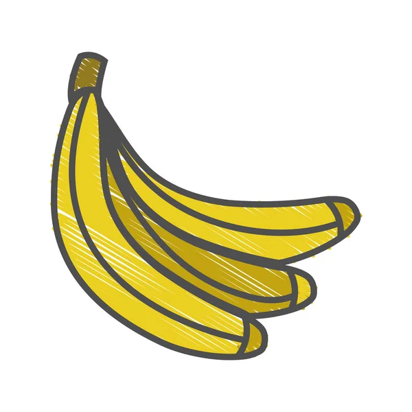 Leckere Bananenfrüchte Gesundem Leben Vektor Illustration — Stockvektor