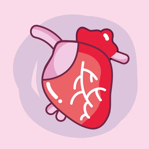 Heart Organ Blood Circulation Veins Vector Illustration — Stock Vector