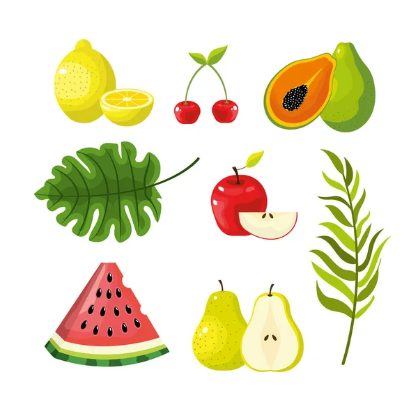 Set Délicieux Illustration Vectorielle Fruits Tropicaux Exotiques — Image vectorielle