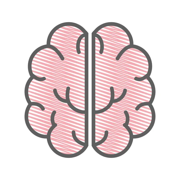 Cerebro Creativo Rosa Mental Saludable Ilustración Vectorial — Vector de stock