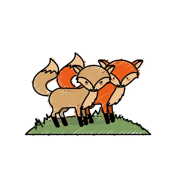 şirin fox hayvan çift birlikte vektör çizim