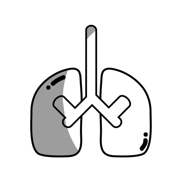 Línea Pulmonar Órgano Anatomía Cuidado Pulmonar Vector Ilustración — Archivo Imágenes Vectoriales