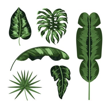 küme doğal bitkiler stil vektör çizim bırakır.