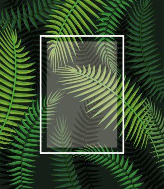 dalları ile kare çerçeve arka plan vektör çizim bırakır