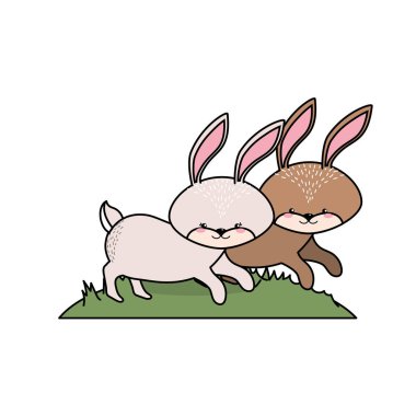sevimli tavşan hayvan çift birlikte vektör çizim