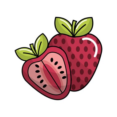 çilek meyve simge stok, vektör çizim tasarım görüntü