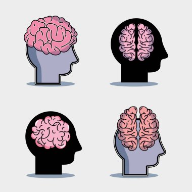 bilgi eğitim yaratıcı simge vektör çizim ile ayarla