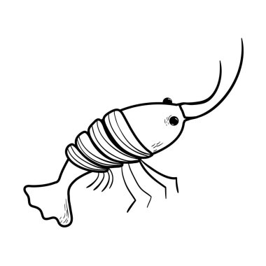 çizgi deniz ürünleri ıstakoz yemek doğal maddeler vektör çizim ile
