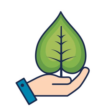 doğal ve tropikal yaprak vektör çizim tasarım ile el