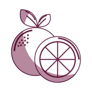 siluet lezzetli turuncu meyve bir dilim, vektör çizim ile