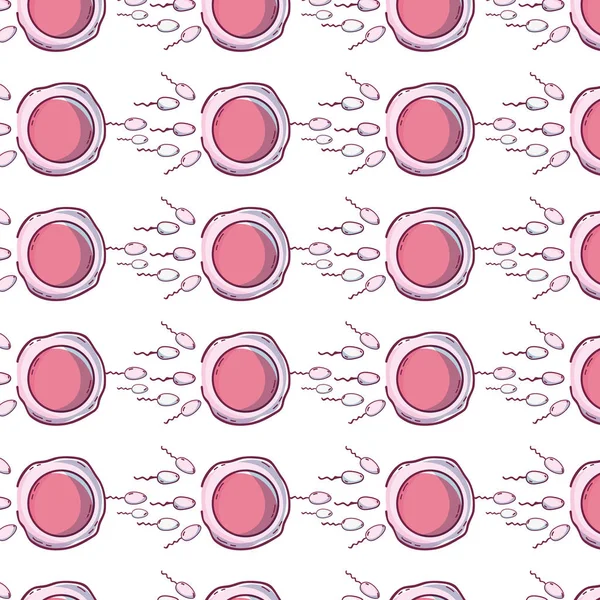 Illustration Vectorielle Fond Processus Fécondation Des Ovules Des Spermatozoïdes — Image vectorielle