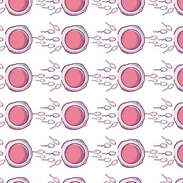 Eicel Zaadcel Bevruchting Proces Achtergrond Vectorillustratie — Stockvector