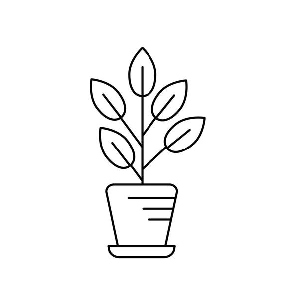 Ligne Plante Naturelle Avec Des Feuilles Intérieur Illustration Vectorielle Pot — Image vectorielle