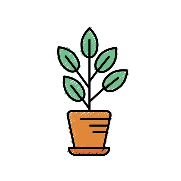 Φυσικό Φυτό Φύλλα Μέσα Γλάστρα Εικονογράφηση Διάνυσμα — Διανυσματικό Αρχείο