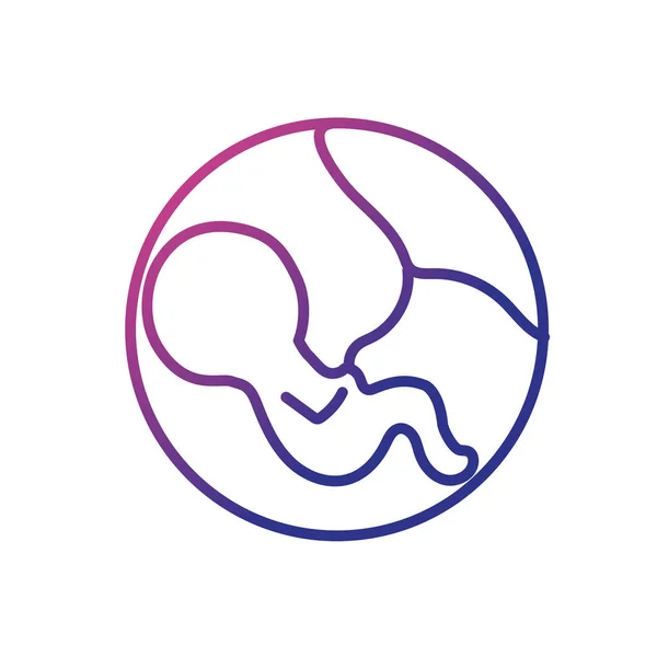 Línea Bebé Con Cordón Umbilical Dentro Las Madres Vector Uterino — Vector de stock