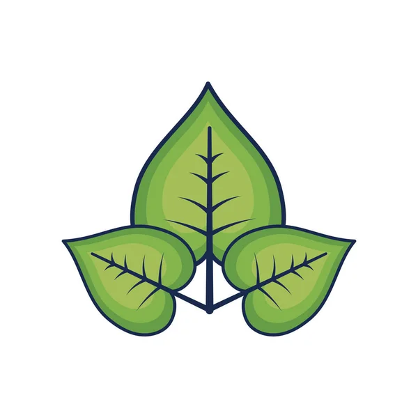 Natürliche Und Tropische Blätter Vektor Illustration Design — Stockvektor
