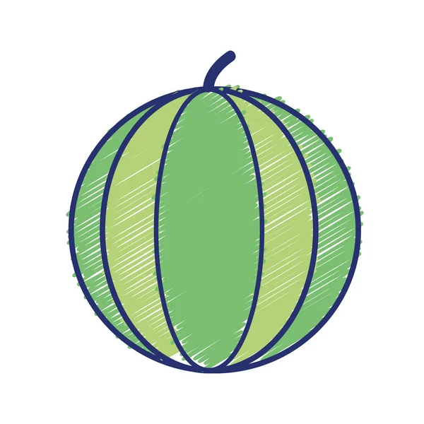 Heerlijke Watermeloen Fruit Met Vitaminen Eiwitten Vectorillustratie — Stockvector