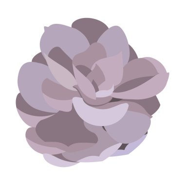 Sevimli çiçek wih güzel doğa yaprakları illüstrasyon vektör