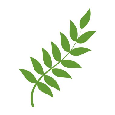 ile bitki dal doğa tasarlamak vektör yaprak