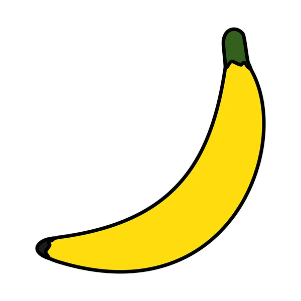 Color Delicioso Plátano Saludable Fruta Orgánica Vector Ilustración — Archivo Imágenes Vectoriales