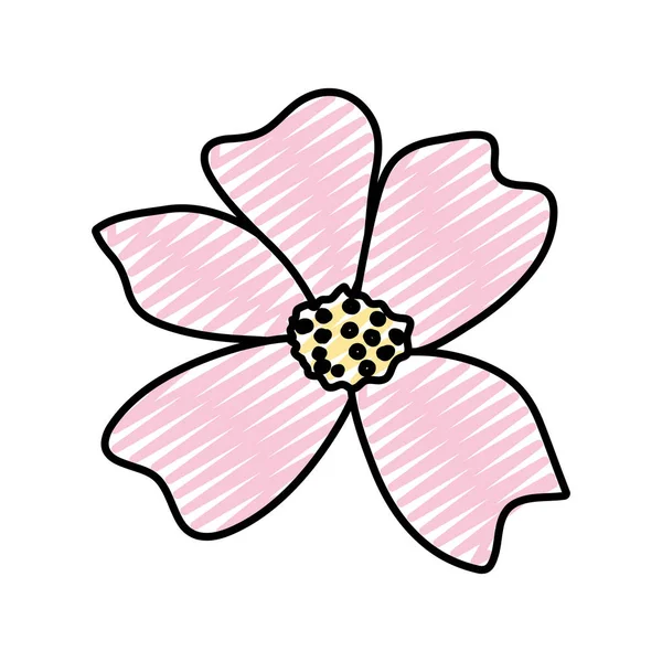 Doodle Naturligt Vacker Blomma Med Kronblad Design Vektorillustration — Stock vektor