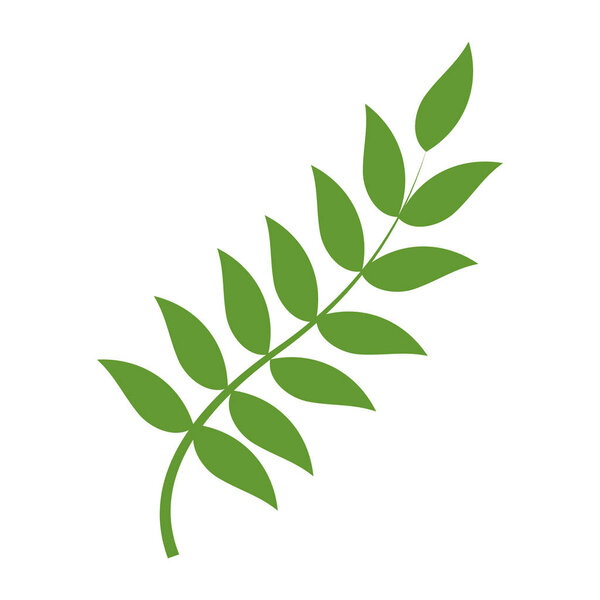 Отрасль растений с векторной иллюстрацией листьев
