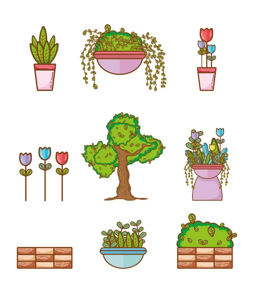 Set Cute Plants Vector Illustration Graphic Design — Stock Vector