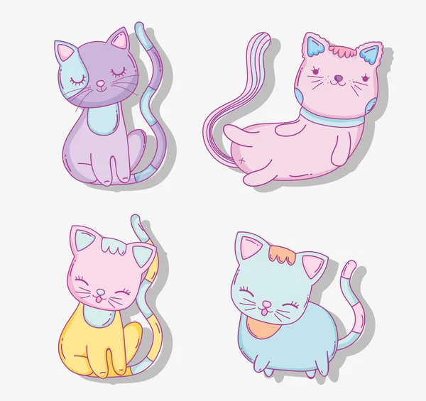Set Cute Cats Domestic Animals Vector Illustration — Stock Vector