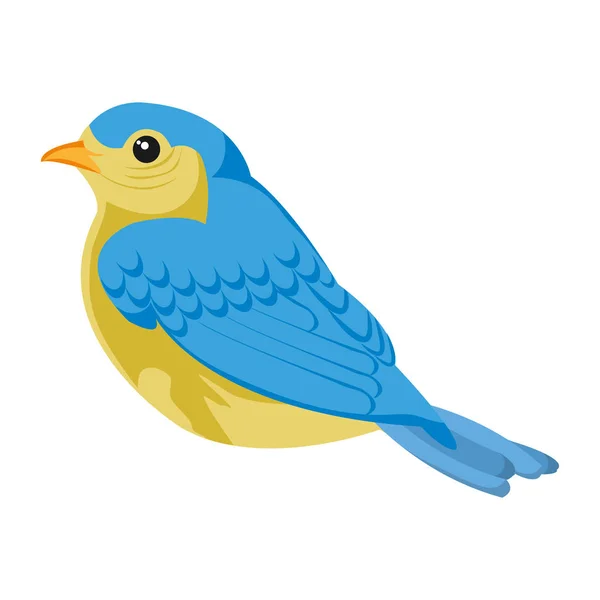 Ομορφιά Πτηνών Των Ζώων Φτέρωμα Και Φτερά Διανυσματικά Εικονογράφηση — Διανυσματικό Αρχείο
