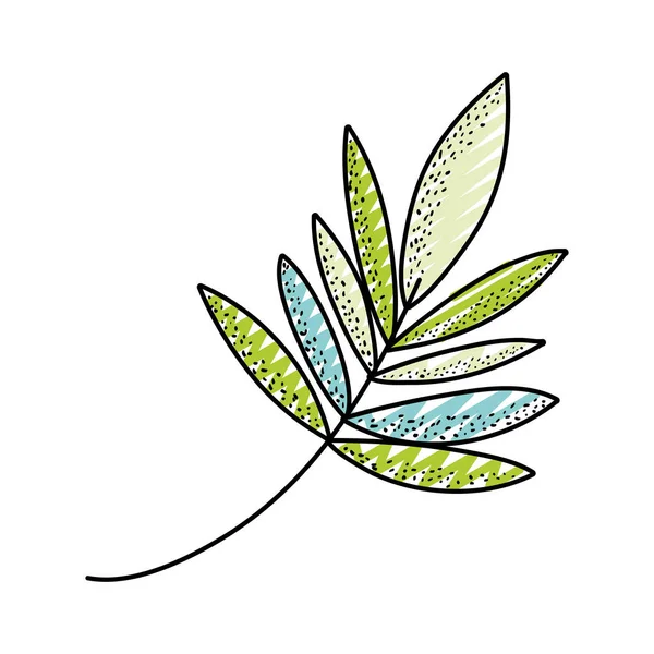 Doodle Τροπικό Φυτό Υποκατάστημα Φύση Αφήνει Εικονογράφηση Διάνυσμα — Διανυσματικό Αρχείο