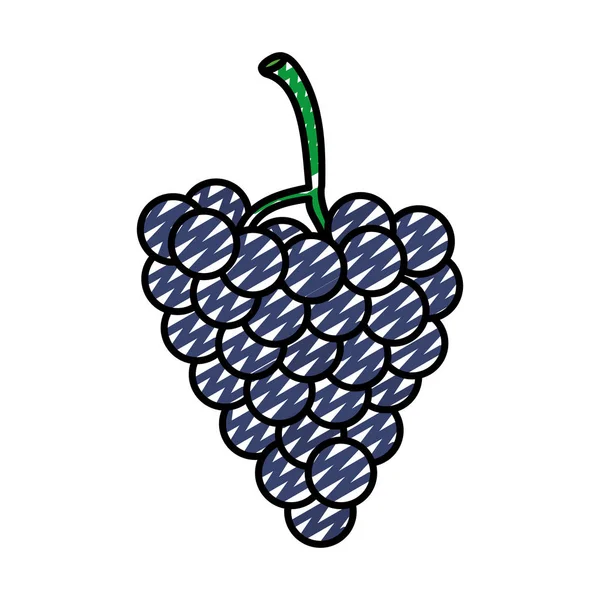 Doodle Νόστιμο Brunch Σταφύλια Βιολογικά Φρούτα Διανυσματικά Εικονογράφηση — Διανυσματικό Αρχείο