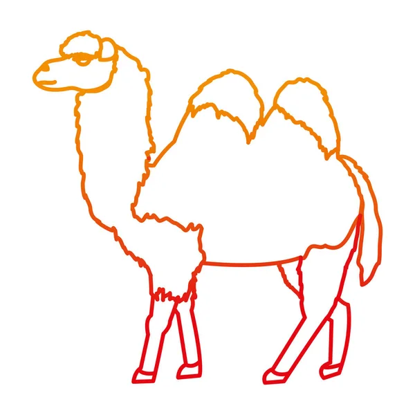 Herabgestuft Linie Niedlich Natur Kamel Wüste Tier Vektor Illustration — Stockvektor