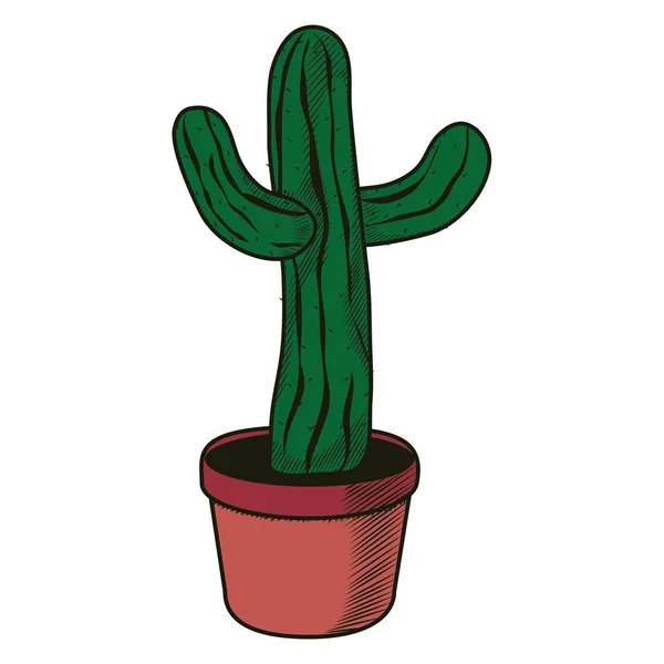 Nature Cactus Désert Plante Intérieur Fleur Pot Vecteur Illustration — Image vectorielle