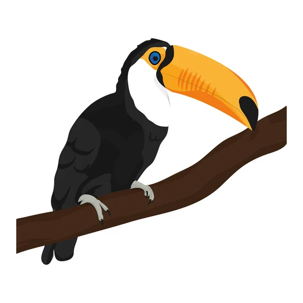 Beleza Tucano Pássaro Animal Ramo Vetor Ilustração —  Vetores de Stock