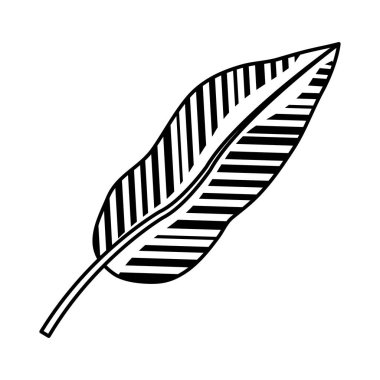 satır egzotik yaprak botanik doğal stil vektör çizim