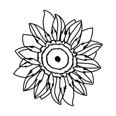 satır güzel ve egzotik doğal çiçek bitki vektör çizim